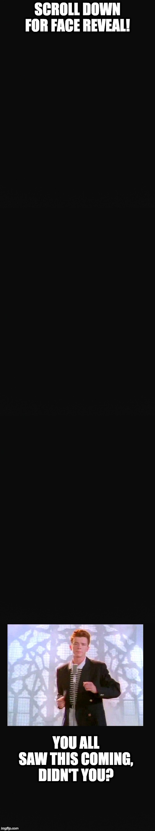 Face reveal! | SCROLL DOWN FOR FACE REVEAL! YOU ALL SAW THIS COMING, DIDN'T YOU? | image tagged in long blank template | made w/ Imgflip meme maker
