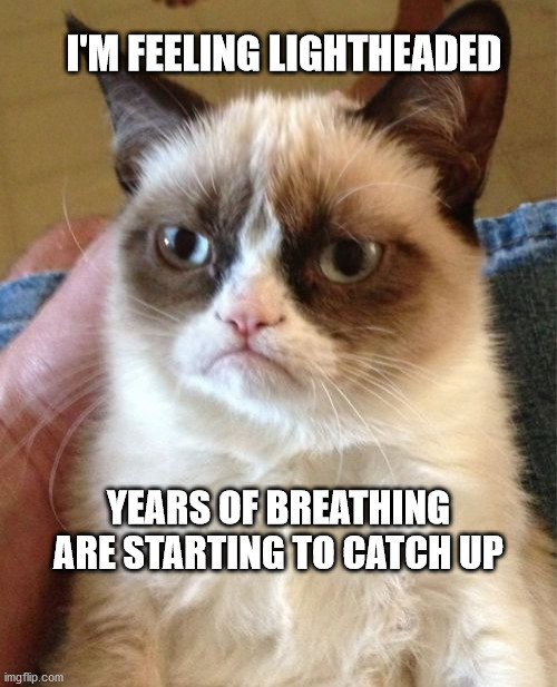 Grumpy Cat | I'M FEELING LIGHTHEADED; YEARS OF BREATHING ARE STARTING TO CATCH UP | image tagged in memes,grumpy cat | made w/ Imgflip meme maker