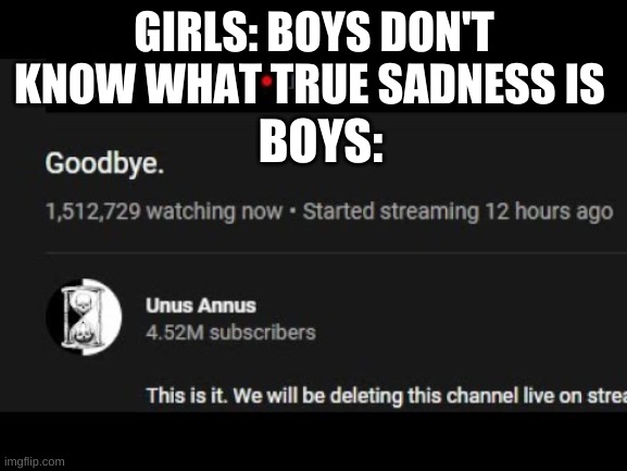 im so sad | GIRLS: BOYS DON'T KNOW WHAT TRUE SADNESS IS; BOYS: | image tagged in memes | made w/ Imgflip meme maker