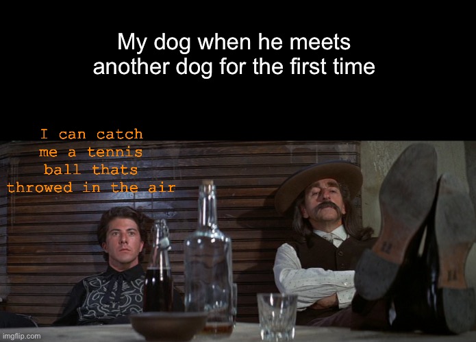 Who’s a Good Boy? | My dog when he meets another dog for the first time; I can catch me a tennis ball thats throwed in the air | image tagged in dogs,good boy,movie quotes | made w/ Imgflip meme maker