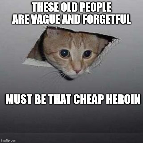 Ceiling Cat Meme | THESE OLD PEOPLE ARE VAGUE AND FORGETFUL; MUST BE THAT CHEAP HEROIN | image tagged in memes,ceiling cat | made w/ Imgflip meme maker
