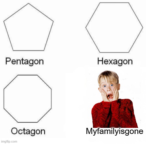 I made my family disapear | Myfamilyisgone | image tagged in memes,pentagon hexagon octagon,fun,home alone | made w/ Imgflip meme maker