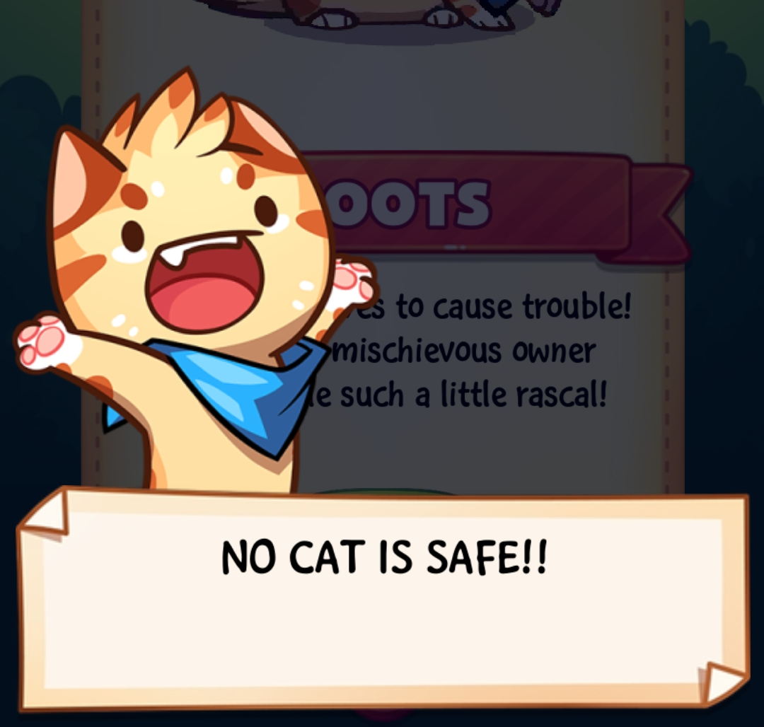 High Quality No cat is safe!!! Blank Meme Template