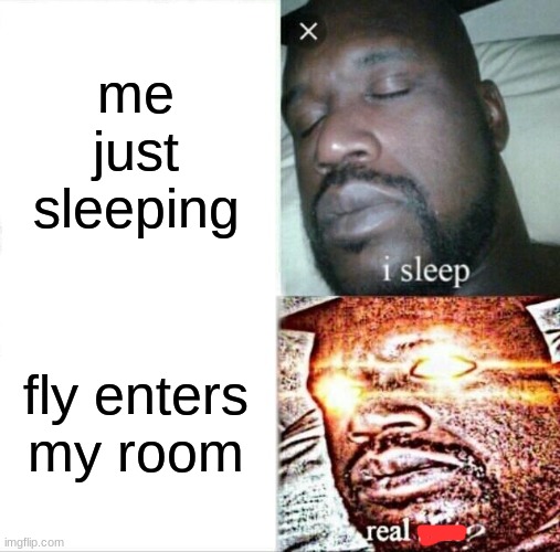 Sleeping Shaq Meme | me just sleeping; fly enters my room | image tagged in memes,sleeping shaq | made w/ Imgflip meme maker