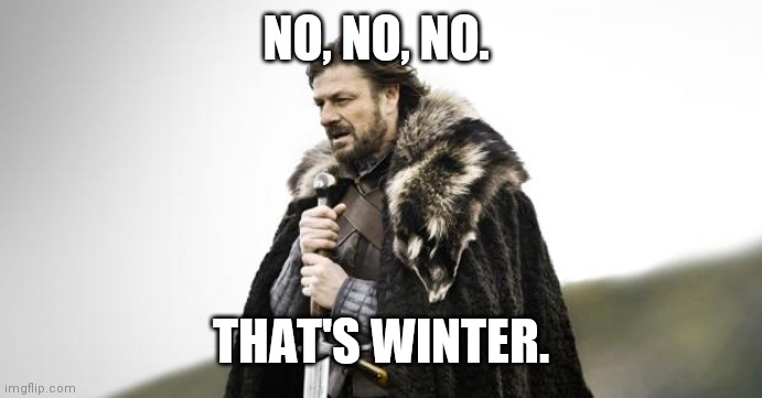 Winter Is Coming | NO, NO, NO. THAT'S WINTER. | image tagged in winter is coming | made w/ Imgflip meme maker