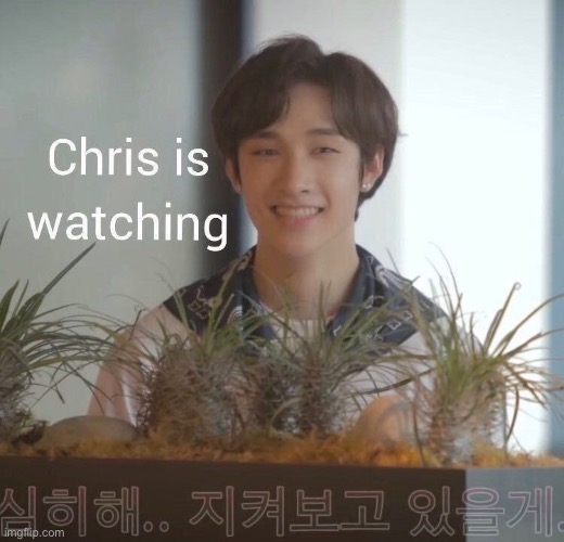 bangchan is watchingp | image tagged in bangchan is watchingp | made w/ Imgflip meme maker