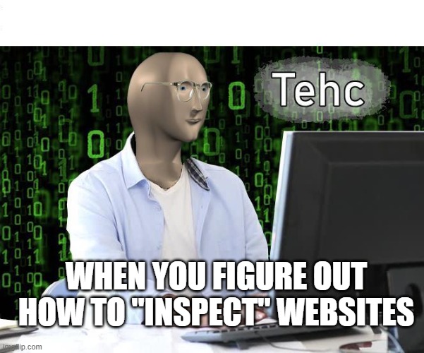 tehc | WHEN YOU FIGURE OUT HOW TO "INSPECT" WEBSITES | image tagged in tehc | made w/ Imgflip meme maker