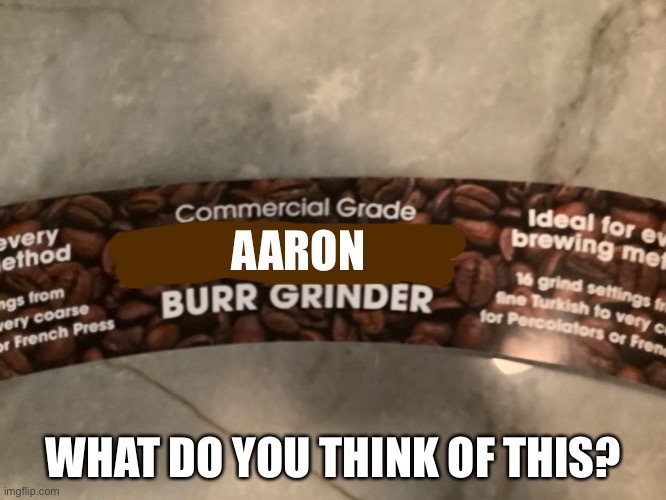 AARON; WHAT DO YOU THINK OF THIS? | image tagged in aaron burr | made w/ Imgflip meme maker