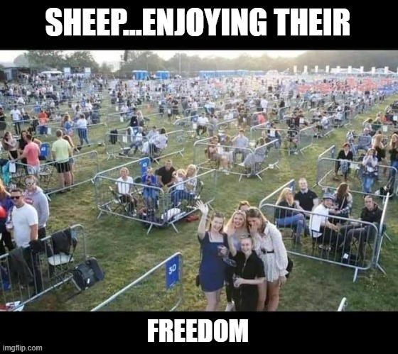 Is it 19 fuc*ing 84 yet? | image tagged in politics,political meme | made w/ Imgflip meme maker