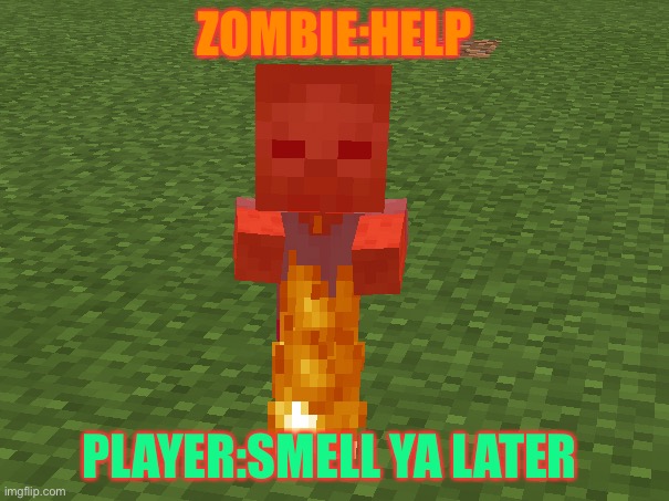zombie on fire | ZOMBIE:HELP; PLAYER:SMELL YA LATER | image tagged in minecraft | made w/ Imgflip meme maker