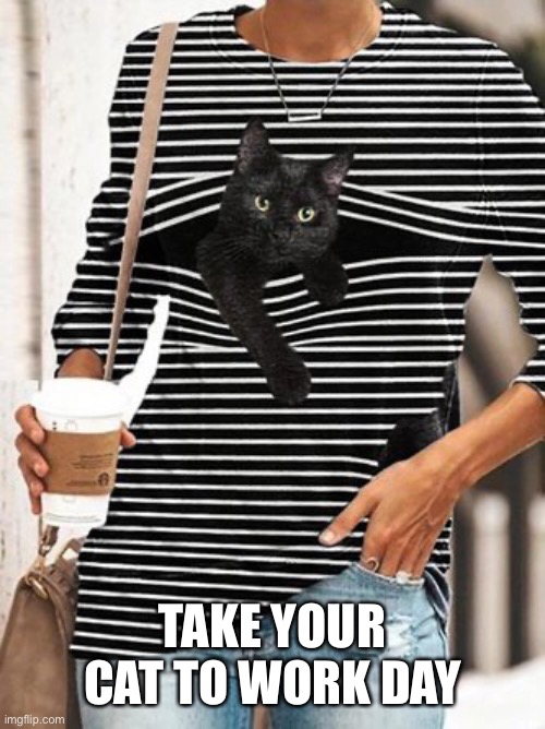 Take your cat to work day | TAKE YOUR CAT TO WORK DAY | image tagged in t shirt,cat,blinds | made w/ Imgflip meme maker