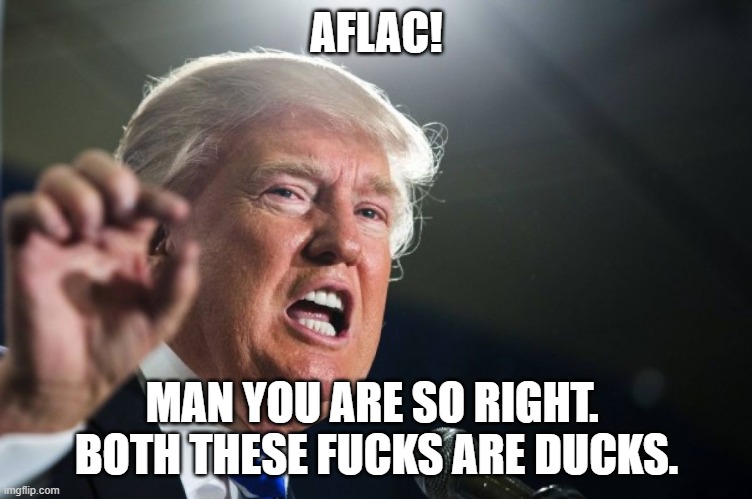 donald trump | AFLAC! MAN YOU ARE SO RIGHT.  BOTH THESE FUCKS ARE DUCKS. | image tagged in donald trump | made w/ Imgflip meme maker