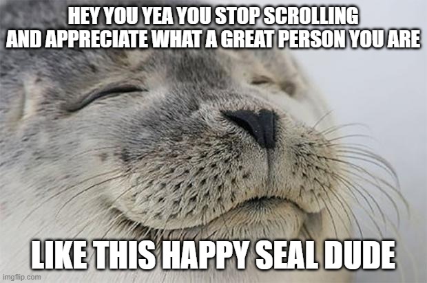 :) :) :) you be awesome :) :) :) |  HEY YOU YEA YOU STOP SCROLLING AND APPRECIATE WHAT A GREAT PERSON YOU ARE; LIKE THIS HAPPY SEAL DUDE | image tagged in memes,satisfied seal | made w/ Imgflip meme maker