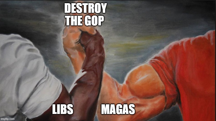 Black White Arms | DESTROY                     
THE GOP; LIBS             MAGAS | image tagged in black white arms | made w/ Imgflip meme maker