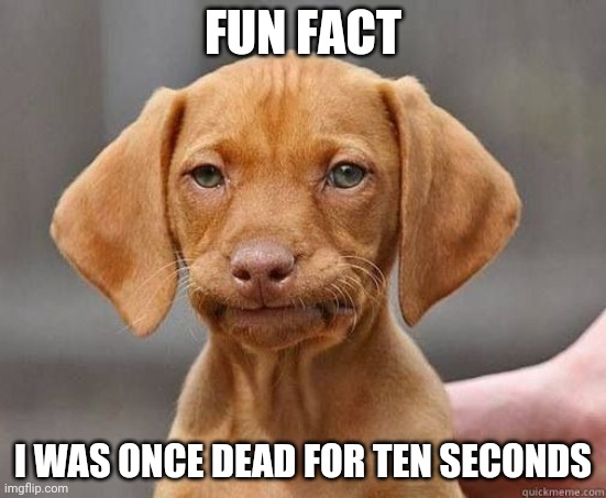 No joke | FUN FACT; I WAS ONCE DEAD FOR TEN SECONDS | image tagged in mfw welp | made w/ Imgflip meme maker