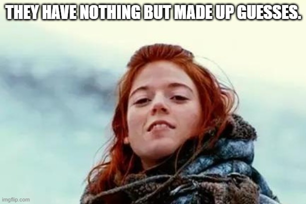 You know nothing | THEY HAVE NOTHING BUT MADE UP GUESSES. | image tagged in you know nothing | made w/ Imgflip meme maker