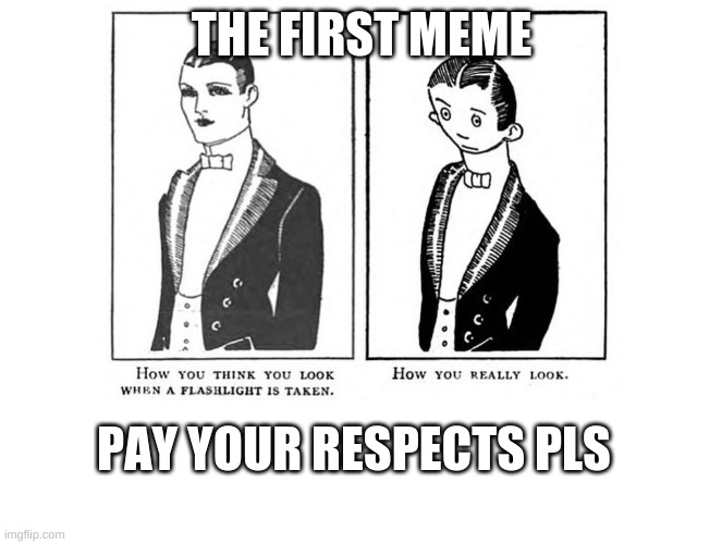 the first meme | THE FIRST MEME; PAY YOUR RESPECTS PLS | image tagged in this is the first meme,blank white template | made w/ Imgflip meme maker