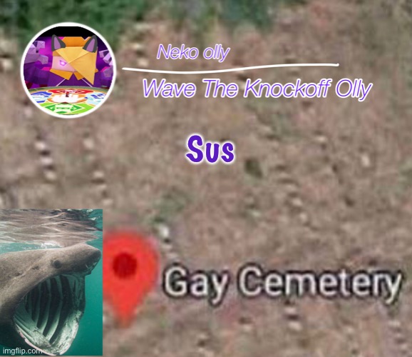 Sus | Sus | image tagged in sus | made w/ Imgflip meme maker