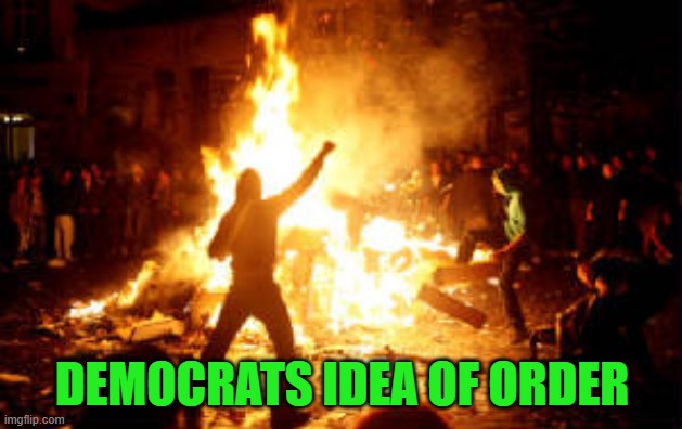 Anarchy Riot | DEMOCRATS IDEA OF ORDER | image tagged in anarchy riot | made w/ Imgflip meme maker