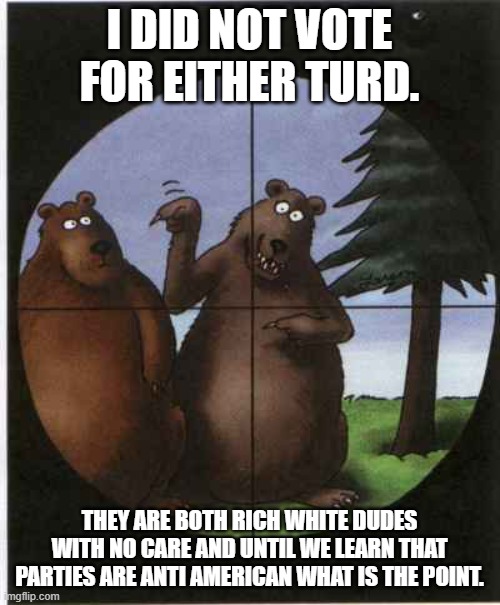 Not Me | I DID NOT VOTE FOR EITHER TURD. THEY ARE BOTH RICH WHITE DUDES WITH NO CARE AND UNTIL WE LEARN THAT PARTIES ARE ANTI AMERICAN WHAT IS THE PO | image tagged in not me | made w/ Imgflip meme maker