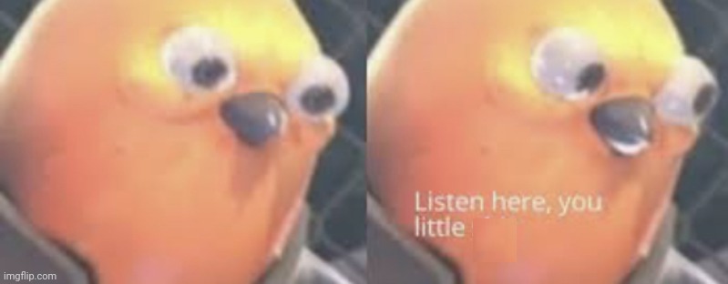 Listen here you little shit bird | image tagged in listen here you little shit bird | made w/ Imgflip meme maker