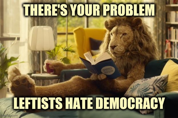 Lion relaxing | THERE'S YOUR PROBLEM LEFTISTS HATE DEMOCRACY | image tagged in lion relaxing | made w/ Imgflip meme maker