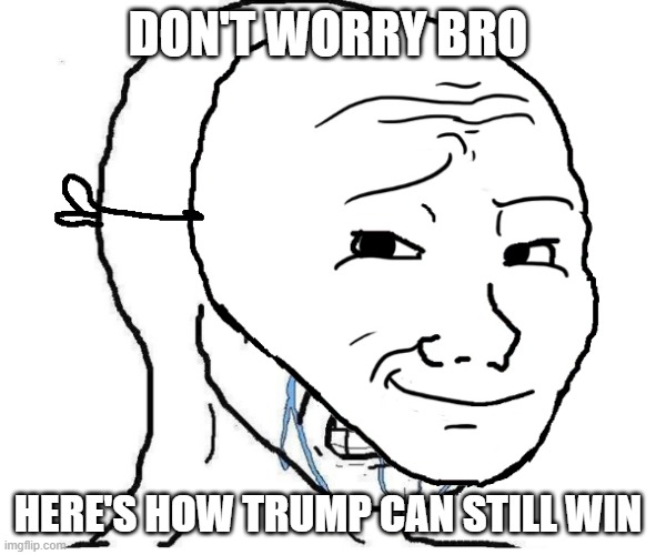 Wojak mask | DON'T WORRY BRO HERE'S HOW TRUMP CAN STILL WIN | image tagged in wojak mask | made w/ Imgflip meme maker