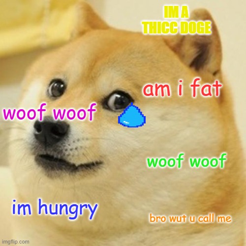 Doge | IM A THICC DOGE; am i fat; woof woof; woof woof; im hungry; bro wut u call me | image tagged in memes,doge | made w/ Imgflip meme maker