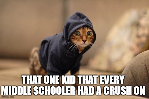 Middle school | THAT ONE KID THAT EVERY MIDDLE SCHOOLER HAD A CRUSH ON | image tagged in memes,hoody cat | made w/ Imgflip meme maker