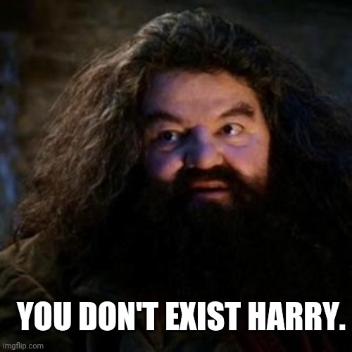 You're a wizard harry | YOU DON'T EXIST HARRY. | image tagged in you're a wizard harry | made w/ Imgflip meme maker