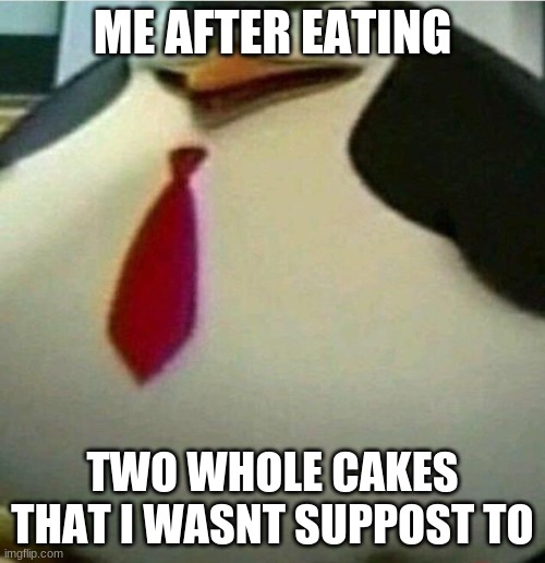 Thicc Skipper | ME AFTER EATING; TWO WHOLE CAKES THAT I WASNT SUPPOST TO | image tagged in thicc skipper | made w/ Imgflip meme maker