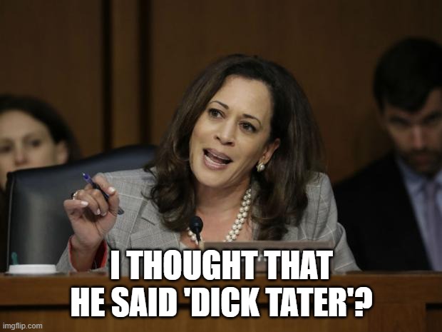 Kamala Harris | I THOUGHT THAT HE SAID 'DICK TATER'? | image tagged in kamala harris | made w/ Imgflip meme maker