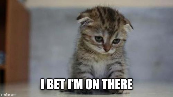 Sad kitten | I BET I'M ON THERE | image tagged in sad kitten | made w/ Imgflip meme maker