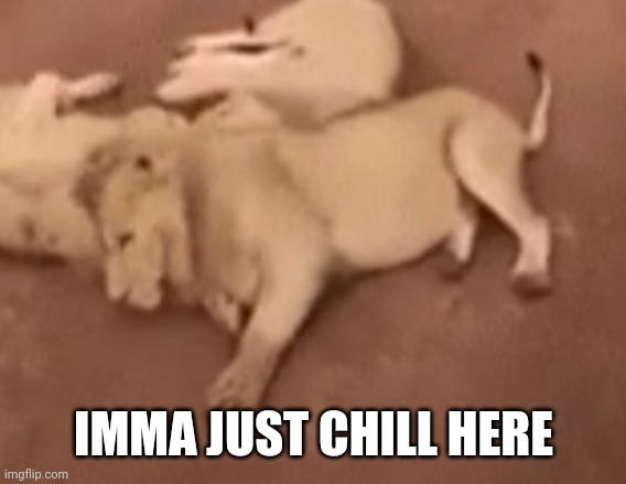 IMMA JUST CHILL HERE | made w/ Imgflip meme maker