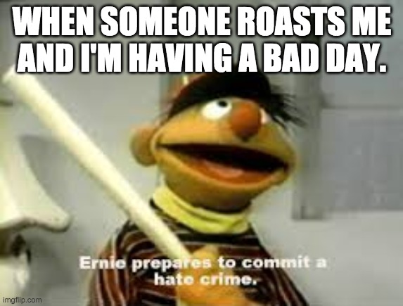 We all have felt this | WHEN SOMEONE ROASTS ME AND I'M HAVING A BAD DAY. | image tagged in ernie prepares to commit a hate crime | made w/ Imgflip meme maker