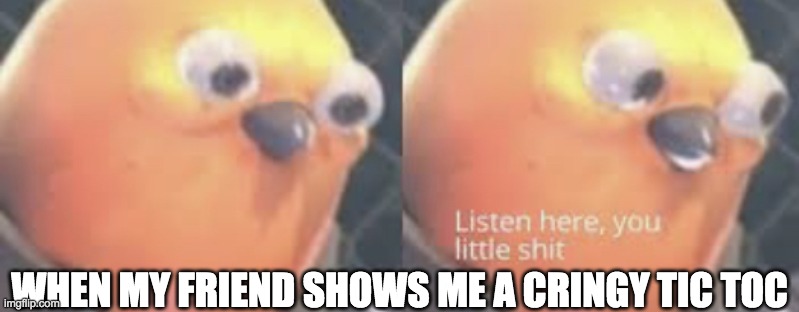 Listen here you little shit bird | WHEN MY FRIEND SHOWS ME A CRINGY TIC TOC | image tagged in listen here you little shit bird | made w/ Imgflip meme maker
