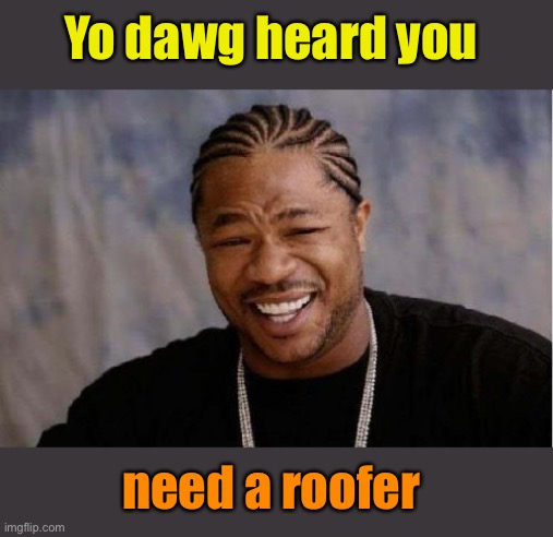 Yo Dawg Heard You Meme | Yo dawg heard you need a roofer | image tagged in memes,yo dawg heard you | made w/ Imgflip meme maker