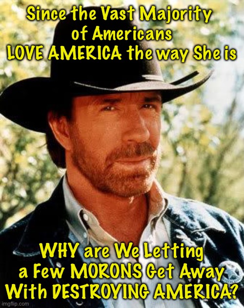 Chuck Norris | Since the Vast Majority 
of Americans LOVE AMERICA the way She is; WHY are We Letting a Few MORONS Get Away With DESTROYING AMERICA? | image tagged in memes,chuck norris | made w/ Imgflip meme maker
