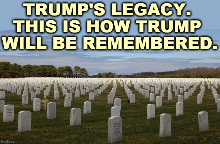 The Greatest Presidential Failure in American History. | TRUMP'S LEGACY. 
THIS IS HOW TRUMP 
WILL BE REMEMBERED. | image tagged in trump,failure,cemetery,american,dead | made w/ Imgflip meme maker