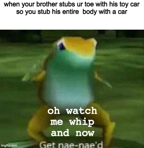 get nae nae nae nae nae nae na nae nae nae nae nae'd | when your brother stubs ur toe with his toy car
so you stub his entire  body with a car; oh watch me whip
and now | image tagged in get nae-nae'd,memes | made w/ Imgflip meme maker