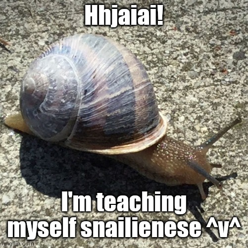 Well, I gotta make the full language first | Hhjaiai! I'm teaching myself snailienese ^v^ | image tagged in slow as a snail,snail | made w/ Imgflip meme maker