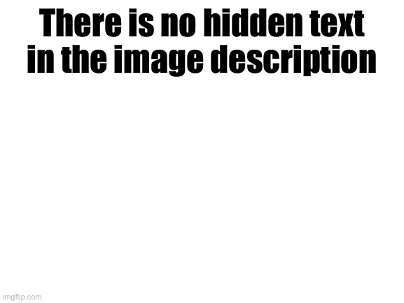 There’s none | There is no hidden text in the image description | image tagged in none | made w/ Imgflip meme maker