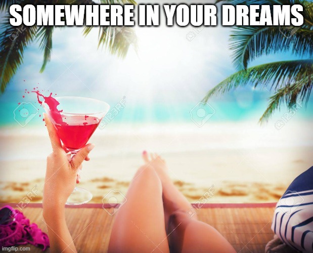 beach dreams | SOMEWHERE IN YOUR DREAMS | image tagged in drink | made w/ Imgflip meme maker