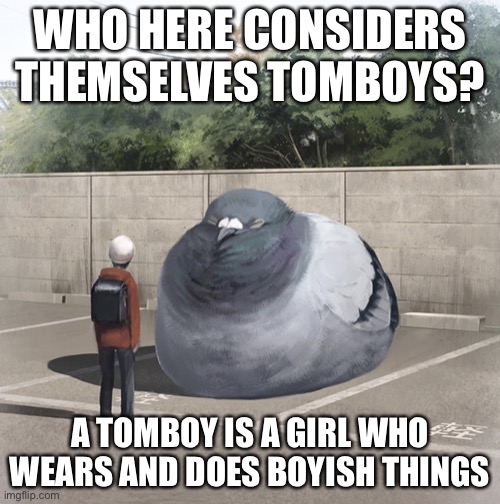 Beeg Birb | WHO HERE CONSIDERS THEMSELVES TOMBOYS? A TOMBOY IS A GIRL WHO WEARS AND DOES BOYISH THINGS | image tagged in beeg birb | made w/ Imgflip meme maker