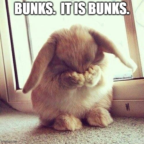 Shy rabbit | BUNKS.  IT IS BUNKS. | image tagged in shy rabbit | made w/ Imgflip meme maker