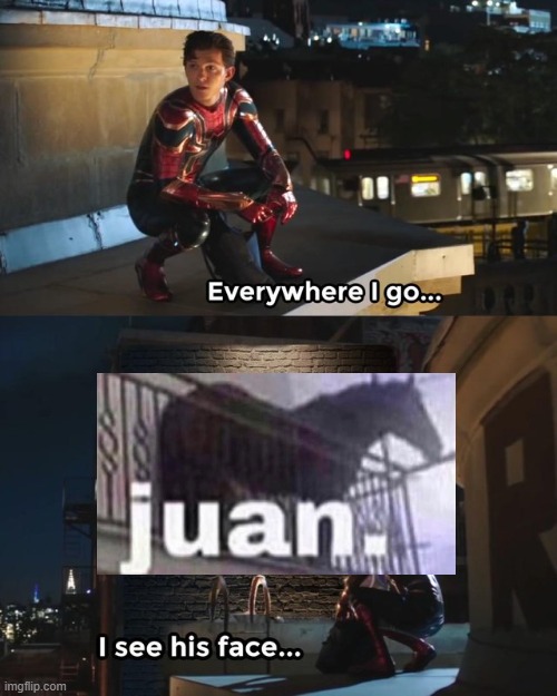 JUAN IS EVERYWHERE! | image tagged in everywhere i go i see his face,memes,juan | made w/ Imgflip meme maker