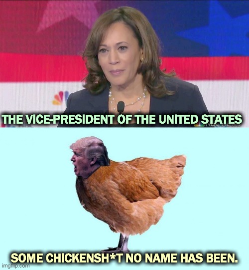 The present and the past. | THE VICE-PRESIDENT OF THE UNITED STATES; SOME CHICKENSH*T NO NAME HAS BEEN. | image tagged in kamala harris,vice-president,trump,gone,over,past | made w/ Imgflip meme maker
