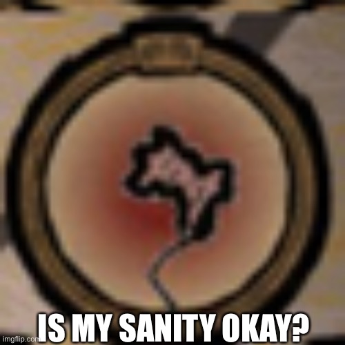 Sanity = 0 | IS MY SANITY OKAY? | image tagged in sanity 0 | made w/ Imgflip meme maker