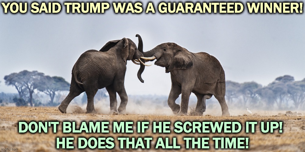 The Republican Party after Trump. | YOU SAID TRUMP WAS A GUARANTEED WINNER! DON'T BLAME ME IF HE SCREWED IT UP! 
HE DOES THAT ALL THE TIME! | image tagged in elephant fight gop republicans,trump,always,fail | made w/ Imgflip meme maker