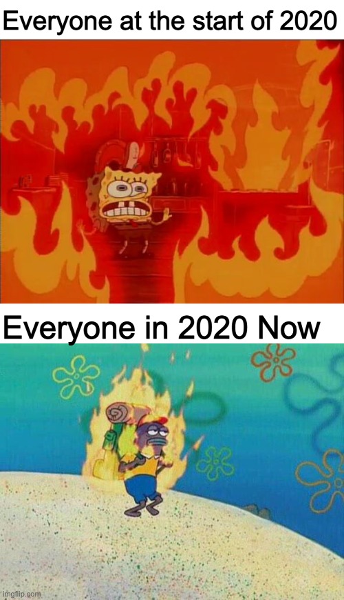 Another "2020 Bad meme" for your troubles. Still kinda cringe ngl. | Everyone at the start of 2020; Everyone in 2020 Now | image tagged in burning spongebob,burning fish spongebob | made w/ Imgflip meme maker